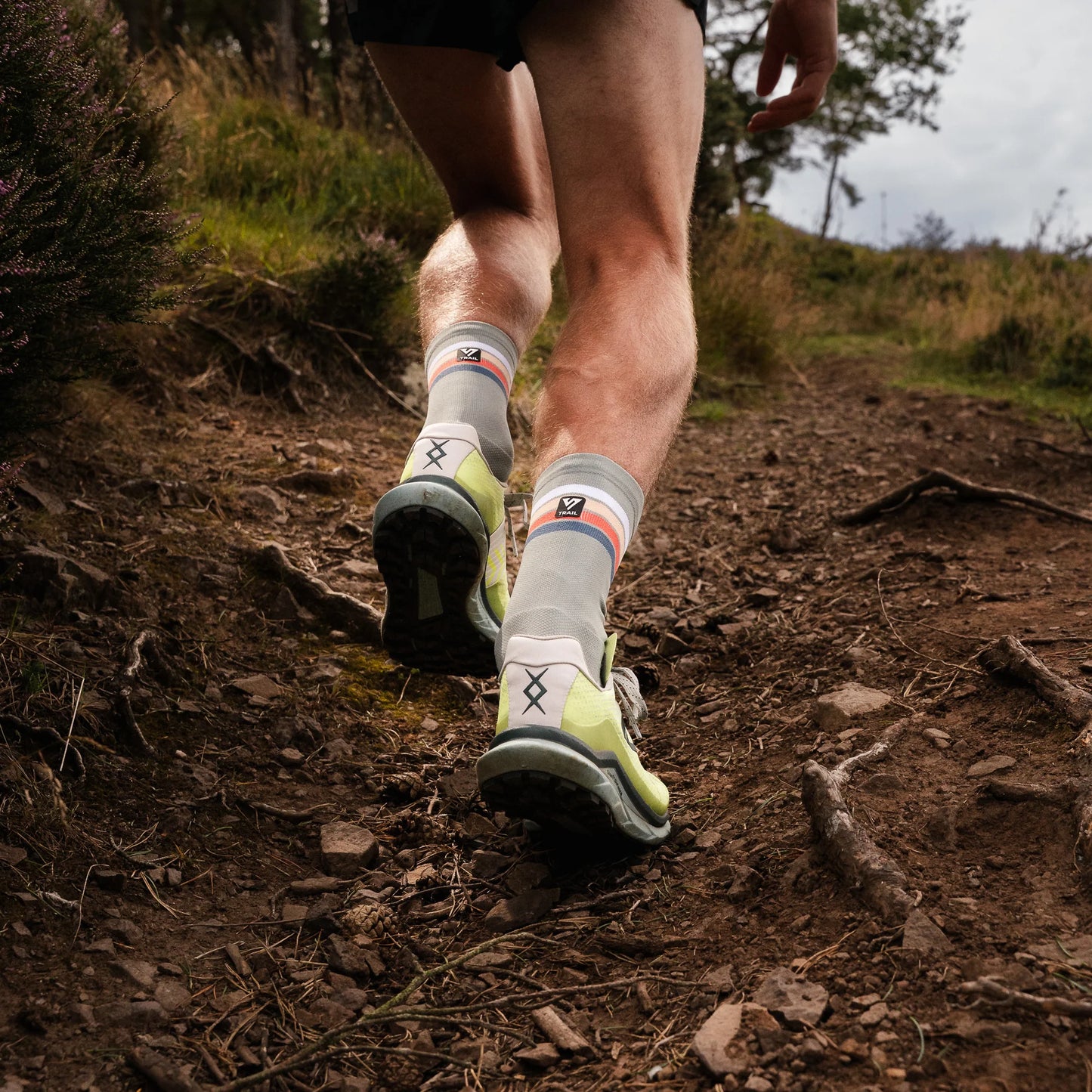 Trail Run Socken - Versus