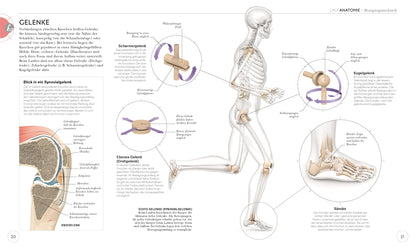 LAUFTRAINING - Die Anatomie verstehen