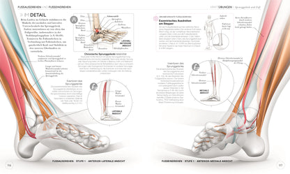 LAUFTRAINING - Die Anatomie verstehen