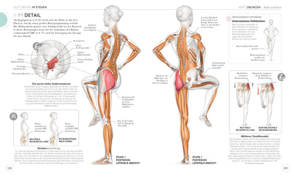 LAUFTRAINING - Die Anatomie verstehen