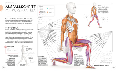 KRAFTTRAINING – Die Anatomie verstehen