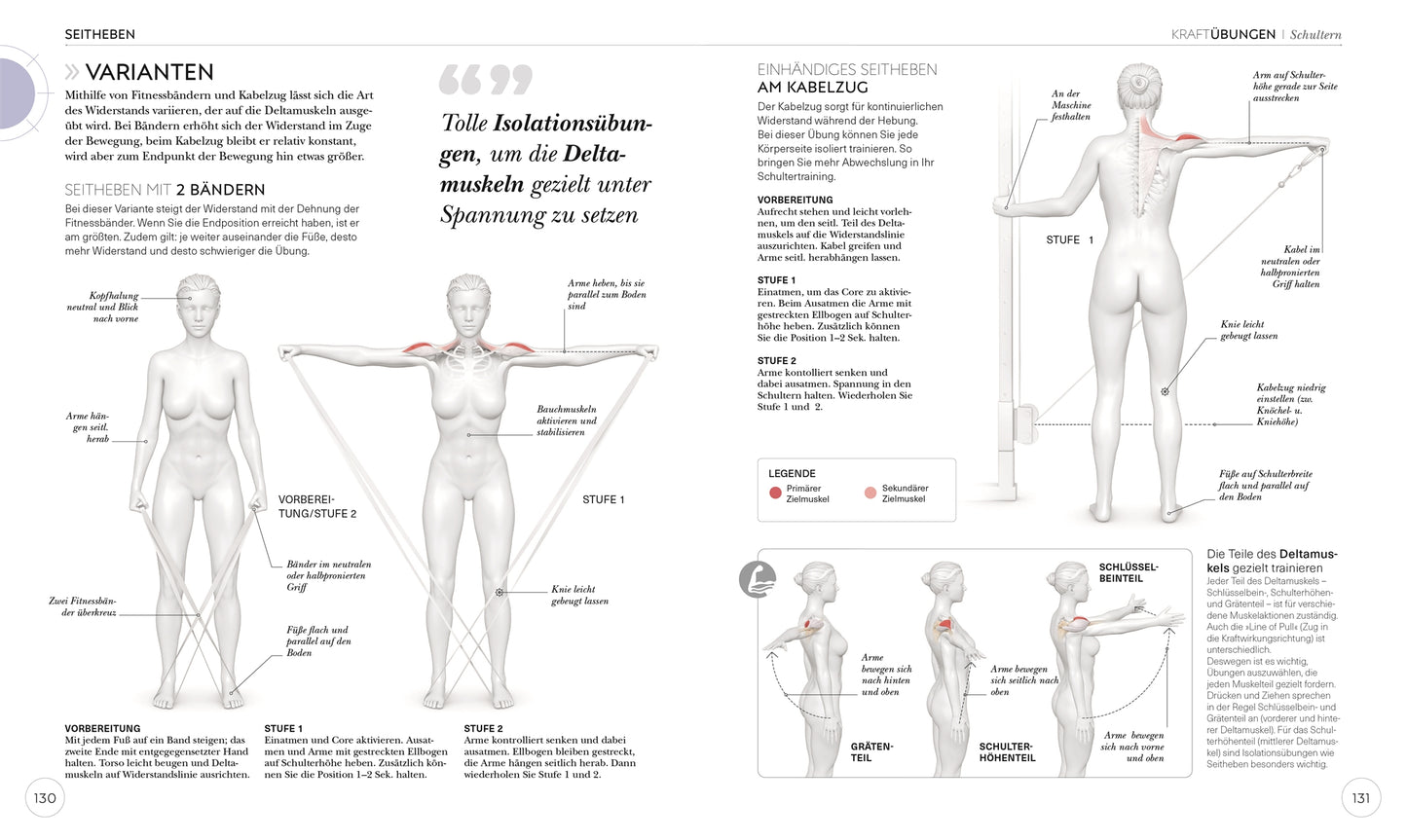 KRAFTTRAINING – Die Anatomie verstehen