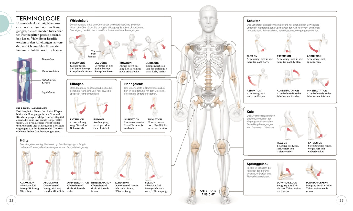 HIIT - Die Anatomie verstehen