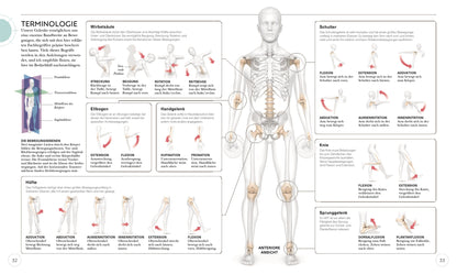 HIIT - Die Anatomie verstehen