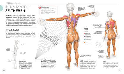 HIIT - Die Anatomie verstehen