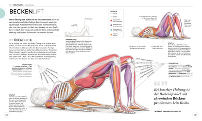 HIIT - Die Anatomie verstehen