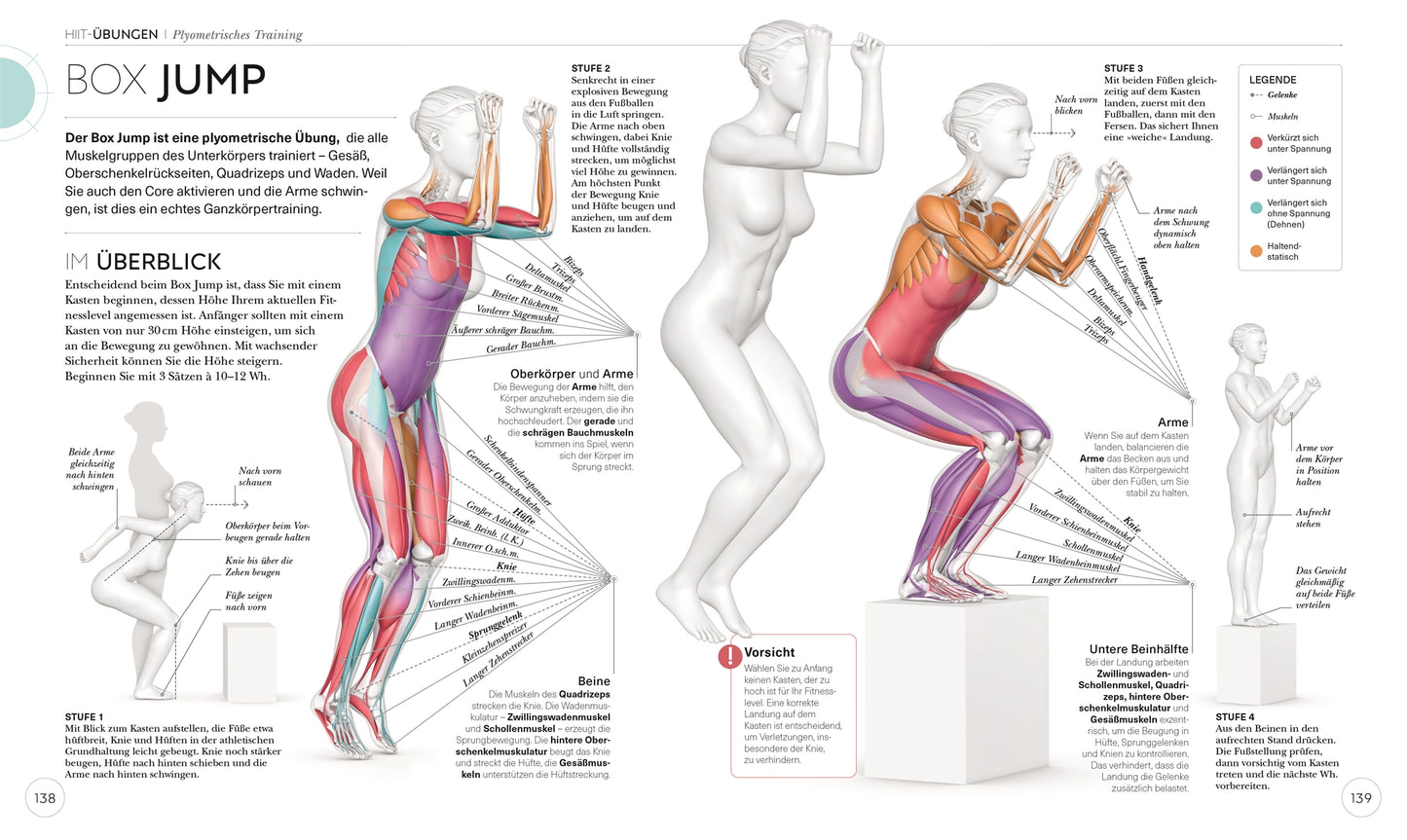 HIIT - Die Anatomie verstehen