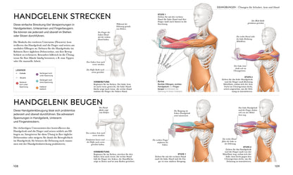 STRETCHING - Die Anatomie verstehen