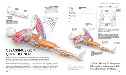 STRETCHING - Die Anatomie verstehen