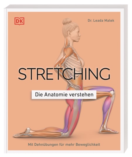 STRETCHING - Die Anatomie verstehen